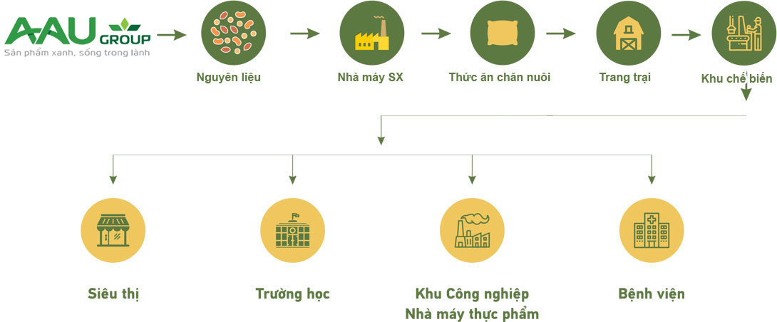 MÔ HÌNH KINH DOANH